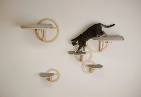 set of shelves for a cat